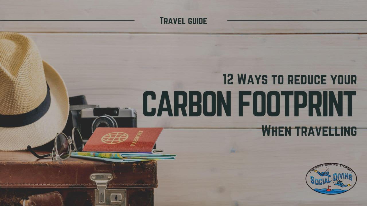 How To Travel Sustainably And Reduce My Carbon Footprint