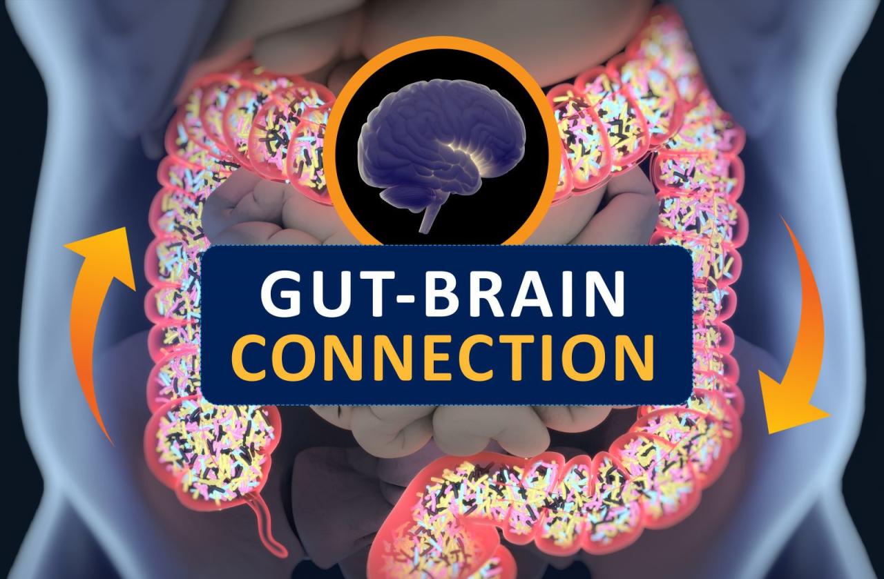 Understanding The Gut-Brain Connection In Health