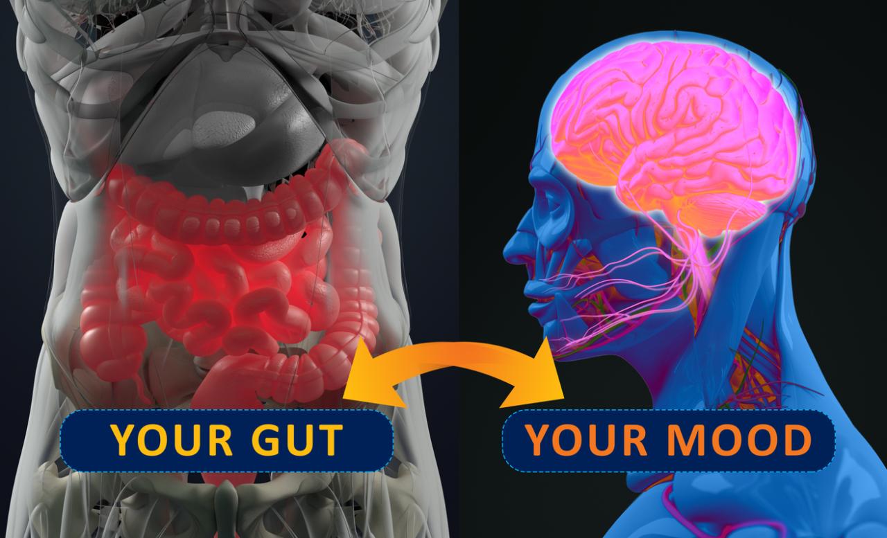 Understanding The Gut-Brain Connection In Health