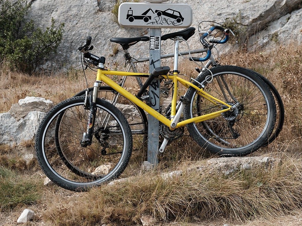 How To Travel Sustainably And Reduce My Carbon Footprint