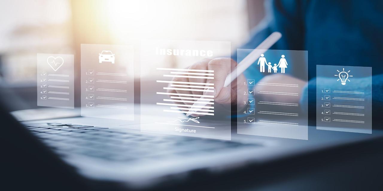 7. How To Choose The Best Travel Insurance For Trips?