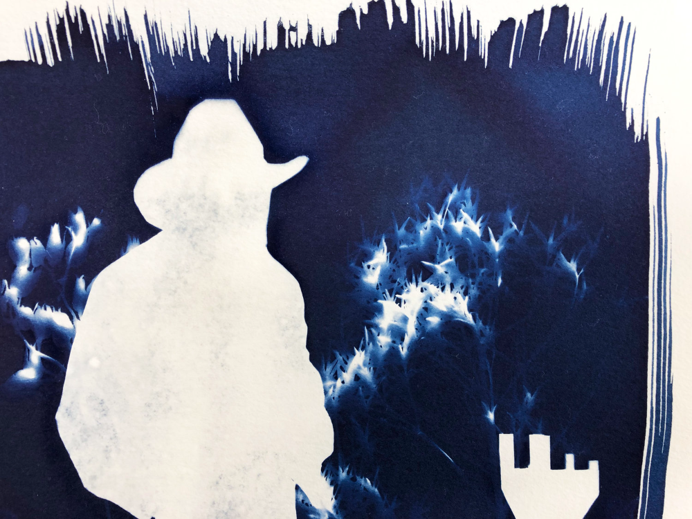 24 Best Cyanotypes images | Cyanotype, Sun prints, Alternative photography Guide To Binge-Worthy Shows For Weekend Watching