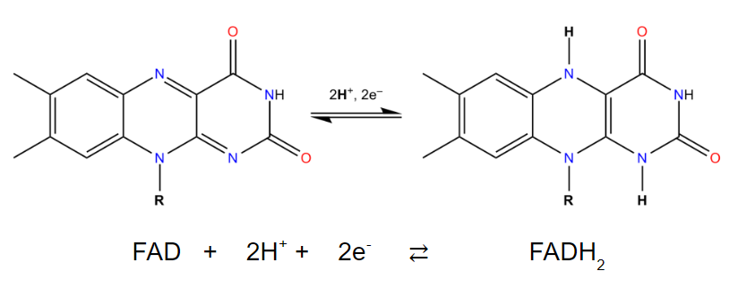 7.8: The Chemistry of NAD+ and FAD - Chemistry LibreTexts What Are The Advantages Of Electric Vehicles Over Gasoline