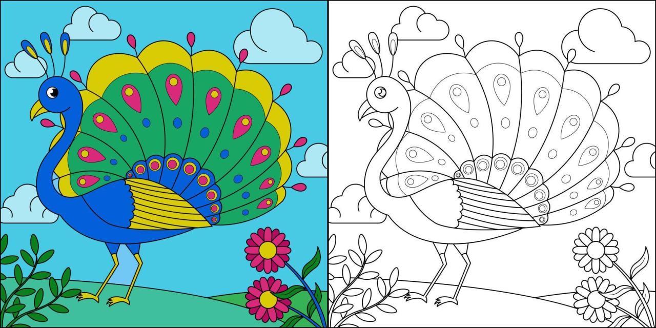 Peacock Color Drawing For Kids Where To Find Authentic Local Food While Traveling