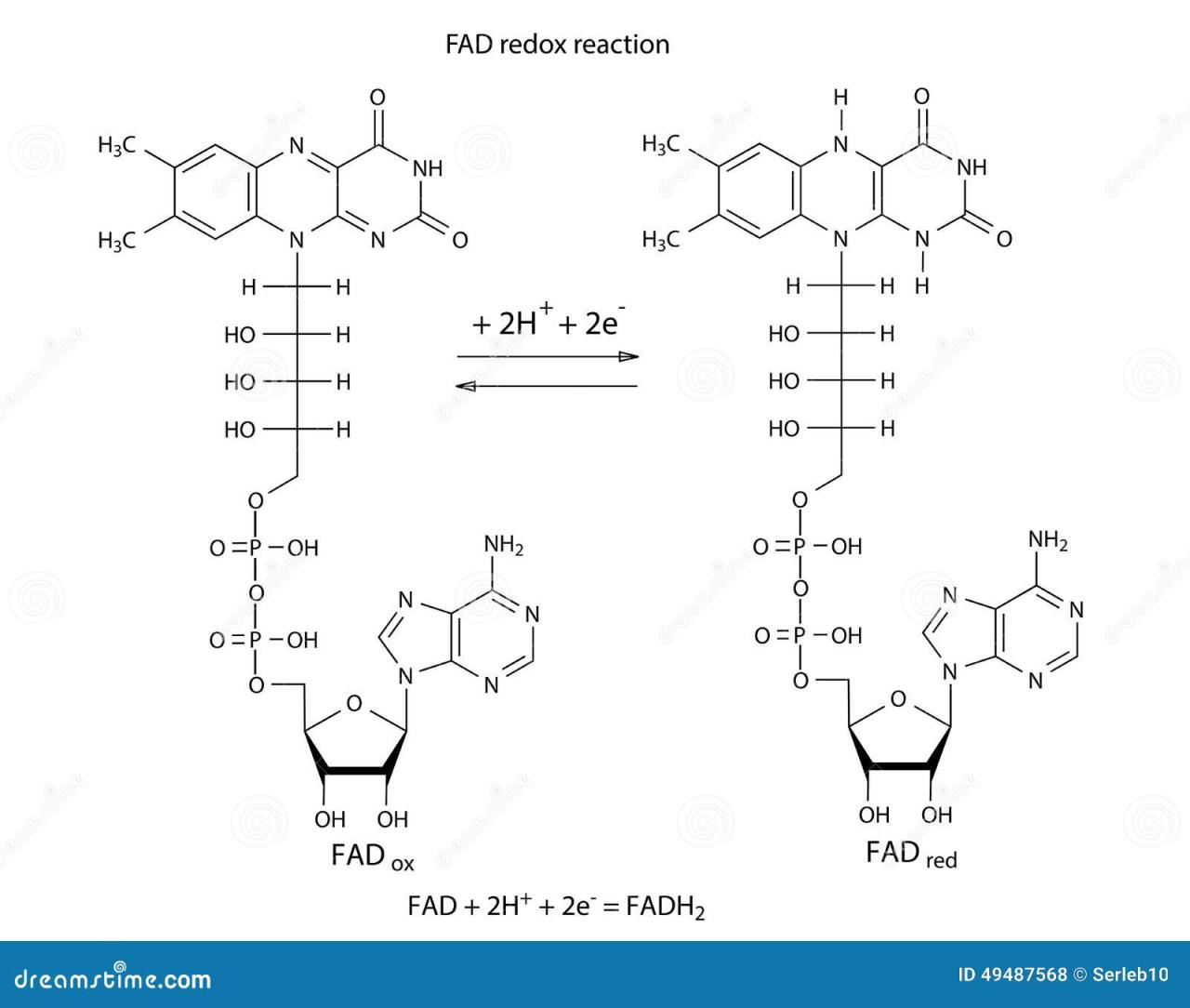 Flavin Adenine Dinucleotide FAD Redox Coenzyme Molecule. Skeletal ... What Are The Advantages Of Electric Vehicles Over Gasoline